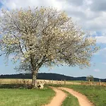 Prázdninový dům Ferme Vosgienne Cosy