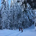 Ferme Vosgienne Cosy * Corcieux