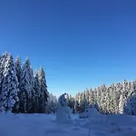 Ferme Vosgienne Cosy Prázdninový dům Corcieux