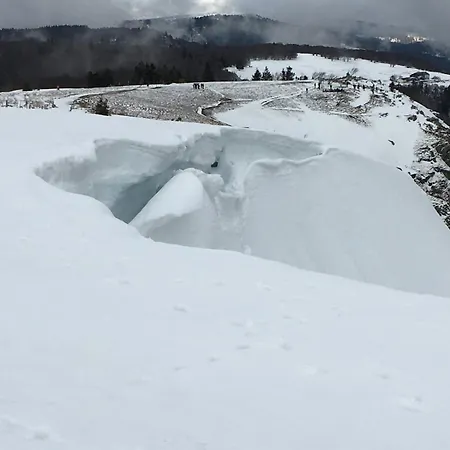 Ferme Vosgienne Cosy Сasa de vacaciones Corcieux