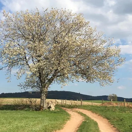 Сasa de vacaciones Ferme Vosgienne Cosy