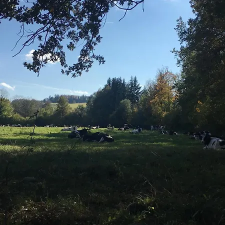 Ferme Vosgienne Cosy Сasa de vacaciones