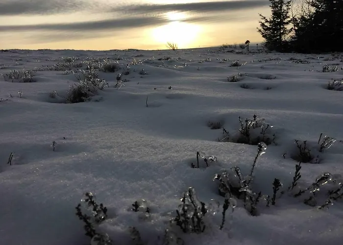 Ferme Vosgienne Cosy Prázdninový dům