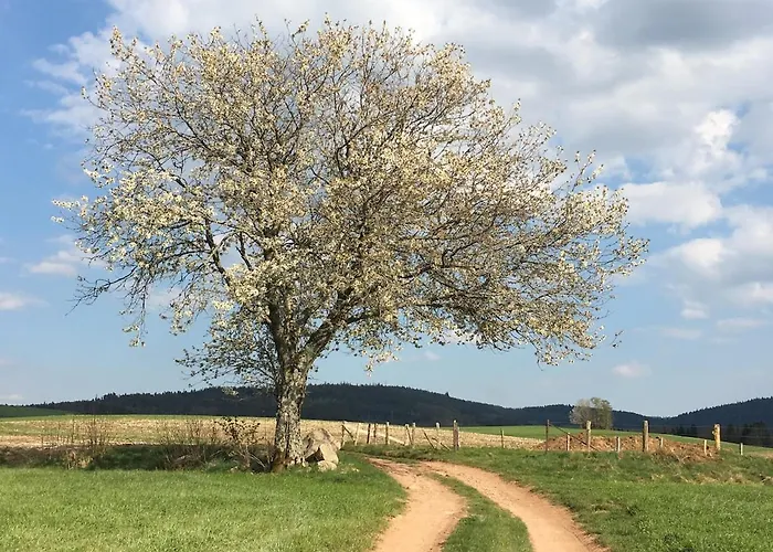 Prázdninový dům Ferme Vosgienne Cosy