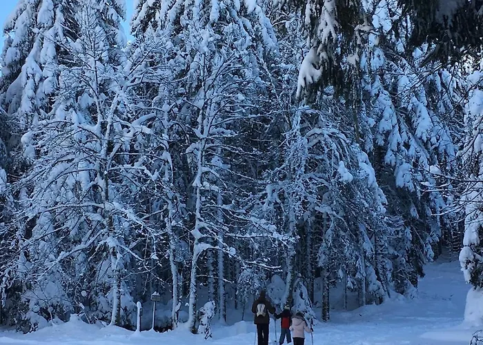 Ferme Vosgienne Cosy * Corcieux