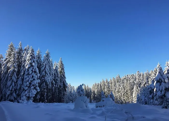 Ferme Vosgienne Cosy Prázdninový dům Corcieux