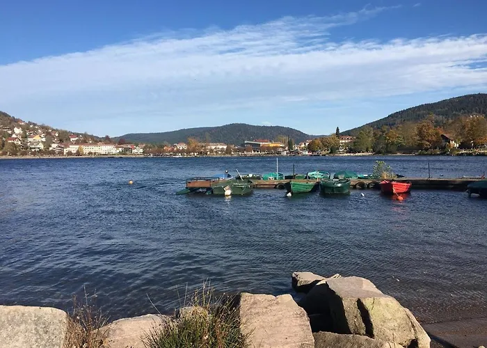 Ferme Vosgienne Cosy *