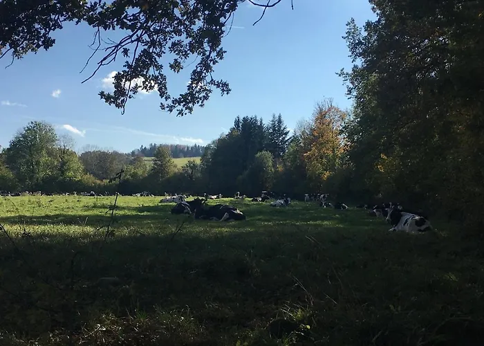 Ferme Vosgienne Cosy Prázdninový dům
