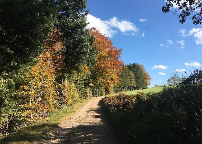 Ferme Vosgienne Cosy *